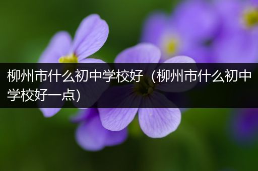 柳州市什么初中学校好（柳州市什么初中学校好一点）