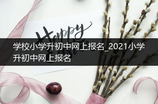 学校小学升初中网上报名_2021小学升初中网上报名