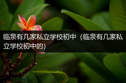 临泉有几家私立学校初中（临泉有几家私立学校初中的）