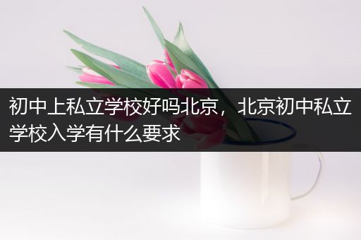 初中上私立学校好吗北京，北京初中私立学校入学有什么要求