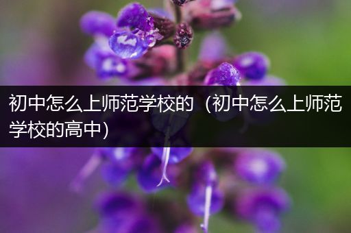 初中怎么上师范学校的（初中怎么上师范学校的高中）