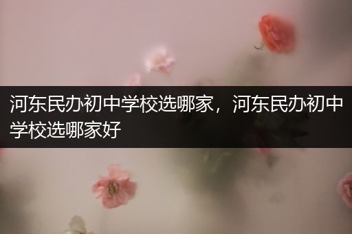 河东民办初中学校选哪家，河东民办初中学校选哪家好