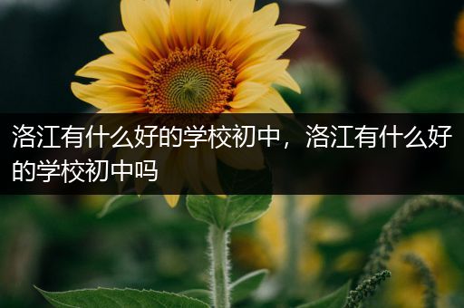 洛江有什么好的学校初中，洛江有什么好的学校初中吗