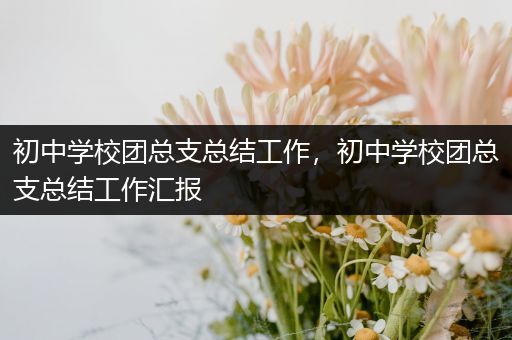 初中学校团总支总结工作，初中学校团总支总结工作汇报