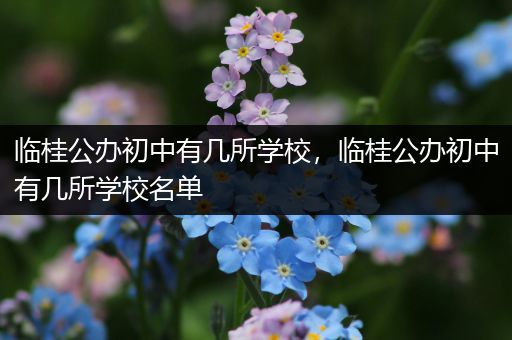 临桂公办初中有几所学校，临桂公办初中有几所学校名单