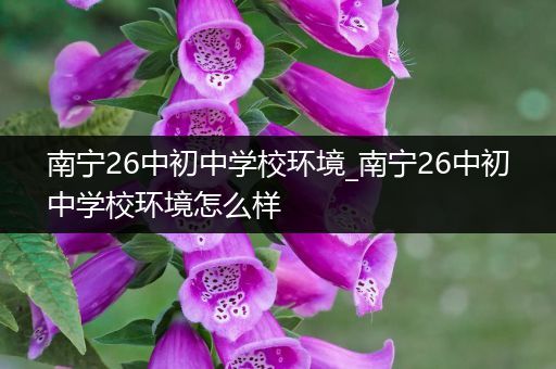 南宁26中初中学校环境_南宁26中初中学校环境怎么样