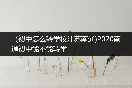 （初中怎么转学校江苏南通)2020南通初中能不能转学