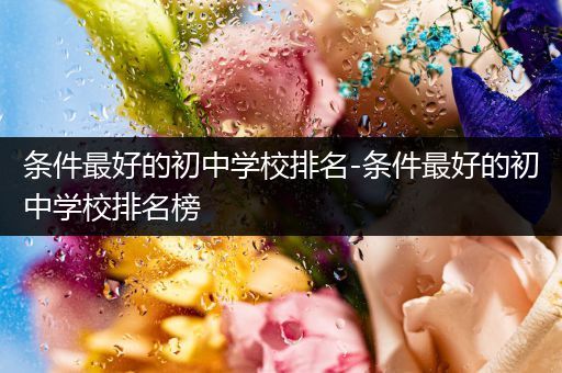 条件最好的初中学校排名-条件最好的初中学校排名榜