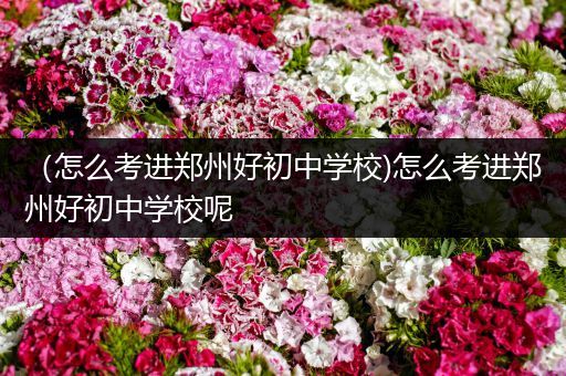 （怎么考进郑州好初中学校)怎么考进郑州好初中学校呢