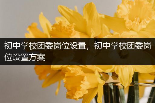 初中学校团委岗位设置，初中学校团委岗位设置方案