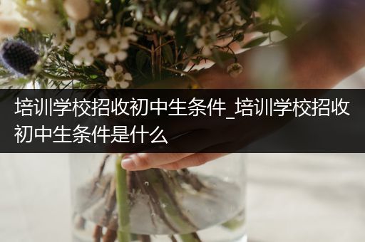 培训学校招收初中生条件_培训学校招收初中生条件是什么