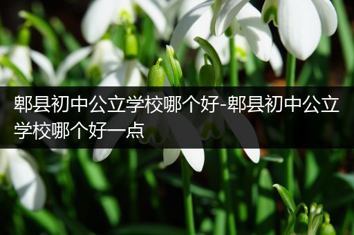 郫县初中公立学校哪个好-郫县初中公立学校哪个好一点