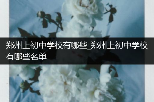 郑州上初中学校有哪些_郑州上初中学校有哪些名单