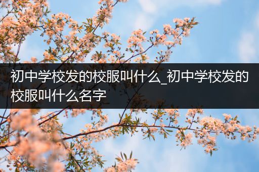 初中学校发的校服叫什么_初中学校发的校服叫什么名字