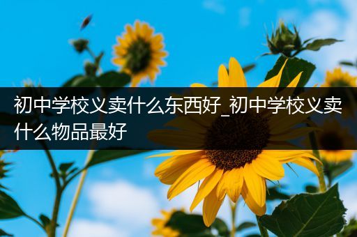 初中学校义卖什么东西好_初中学校义卖什么物品最好