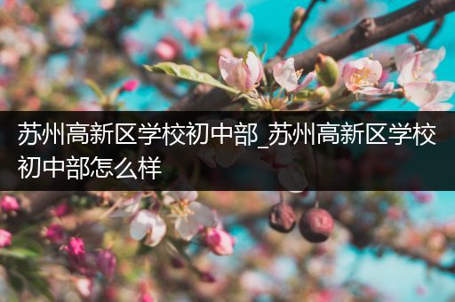 苏州高新区学校初中部_苏州高新区学校初中部怎么样