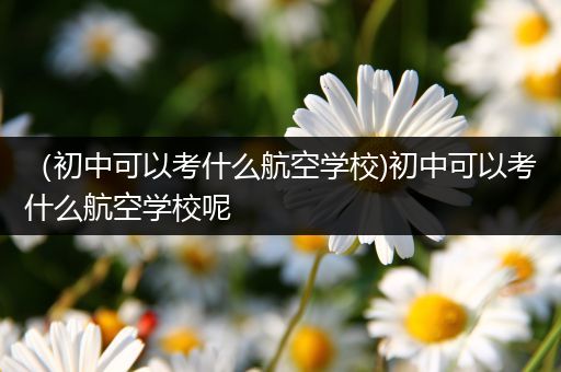 （初中可以考什么航空学校)初中可以考什么航空学校呢