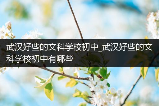 武汉好些的文科学校初中_武汉好些的文科学校初中有哪些