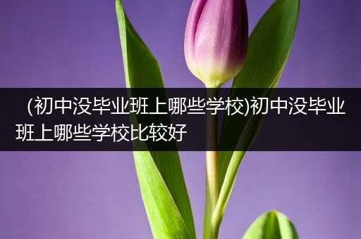 （初中没毕业班上哪些学校)初中没毕业班上哪些学校比较好