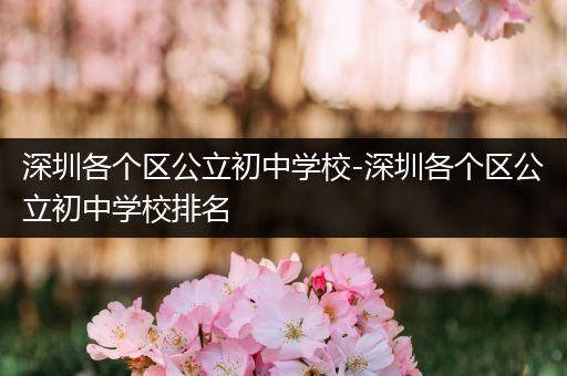 深圳各个区公立初中学校-深圳各个区公立初中学校排名