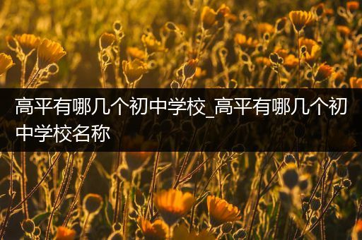 高平有哪几个初中学校_高平有哪几个初中学校名称