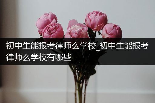 初中生能报考律师么学校_初中生能报考律师么学校有哪些