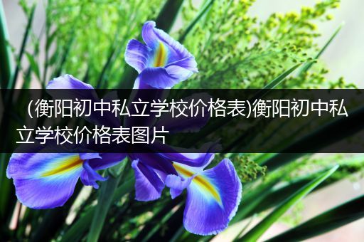 （衡阳初中私立学校价格表)衡阳初中私立学校价格表图片