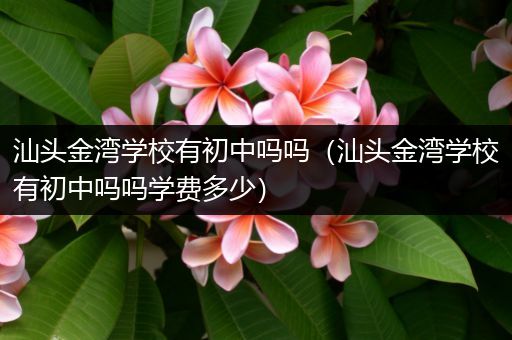 汕头金湾学校有初中吗吗（汕头金湾学校有初中吗吗学费多少）