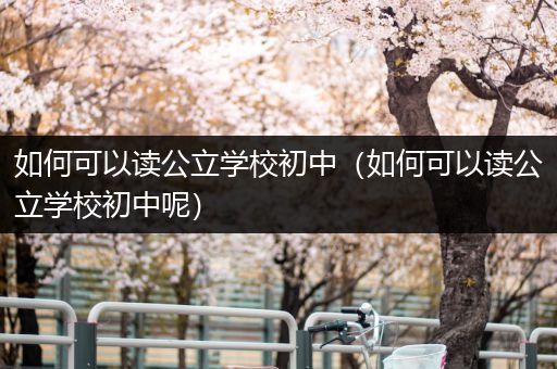 如何可以读公立学校初中（如何可以读公立学校初中呢）