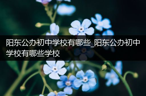 阳东公办初中学校有哪些_阳东公办初中学校有哪些学校