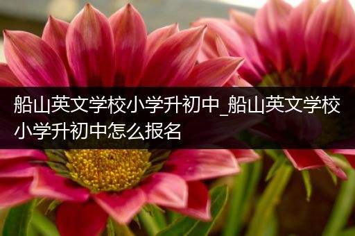 船山英文学校小学升初中_船山英文学校小学升初中怎么报名