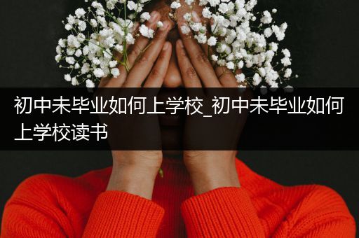 初中未毕业如何上学校_初中未毕业如何上学校读书