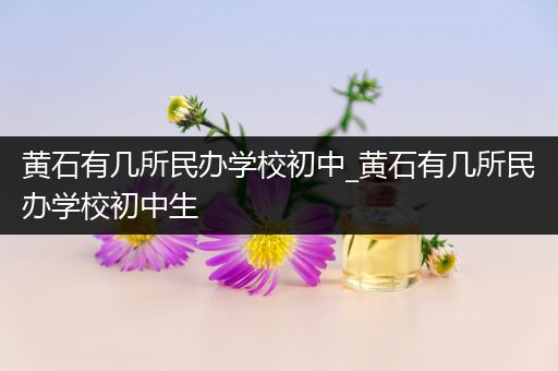 黄石有几所民办学校初中_黄石有几所民办学校初中生