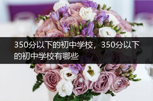 350分以下的初中学校，350分以下的初中学校有哪些