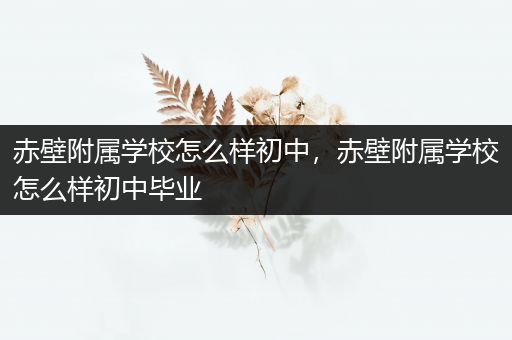 赤壁附属学校怎么样初中，赤壁附属学校怎么样初中毕业