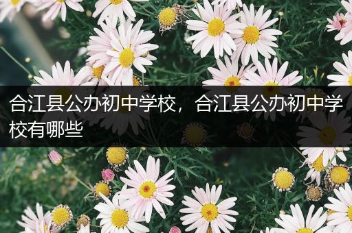 合江县公办初中学校，合江县公办初中学校有哪些