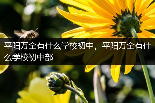 平阳万全有什么学校初中，平阳万全有什么学校初中部