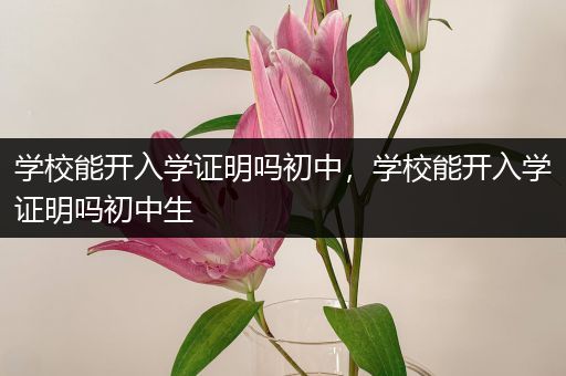 学校能开入学证明吗初中，学校能开入学证明吗初中生