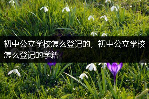 初中公立学校怎么登记的，初中公立学校怎么登记的学籍