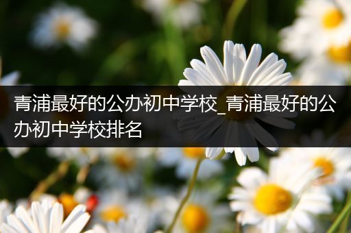 青浦最好的公办初中学校_青浦最好的公办初中学校排名