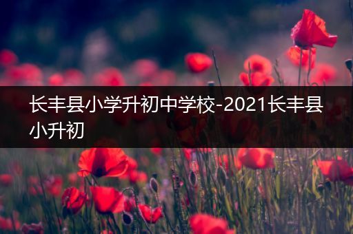 长丰县小学升初中学校-2021长丰县小升初