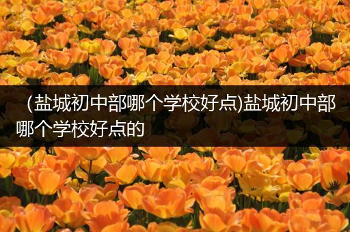 （盐城初中部哪个学校好点)盐城初中部哪个学校好点的