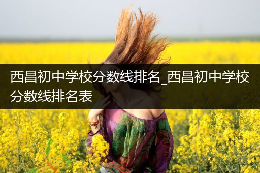 西昌初中学校分数线排名_西昌初中学校分数线排名表