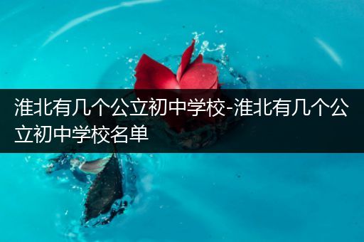 淮北有几个公立初中学校-淮北有几个公立初中学校名单