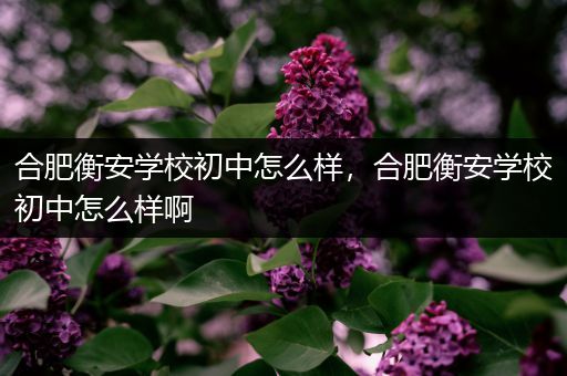 合肥衡安学校初中怎么样，合肥衡安学校初中怎么样啊