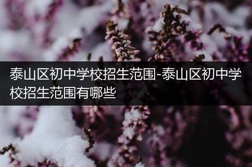 泰山区初中学校招生范围-泰山区初中学校招生范围有哪些