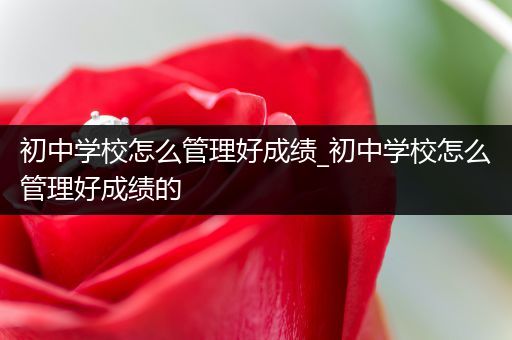 初中学校怎么管理好成绩_初中学校怎么管理好成绩的