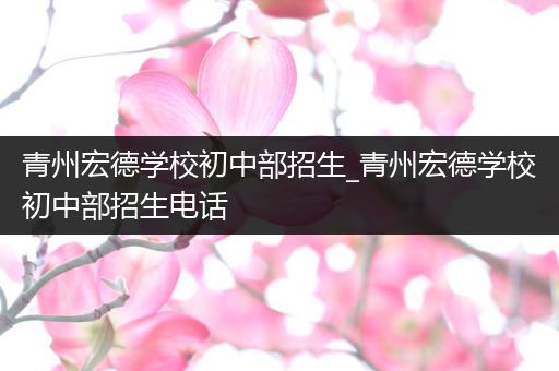 青州宏德学校初中部招生_青州宏德学校初中部招生电话