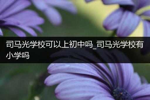 司马光学校可以上初中吗_司马光学校有小学吗