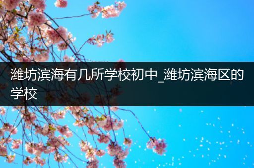 潍坊滨海有几所学校初中_潍坊滨海区的学校